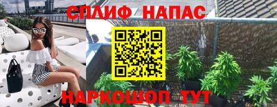 ГАЛЛЮЦИНОГЕННЫЕ ГРИБЫ Моздок